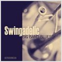 New Blues Release by Swingadelic